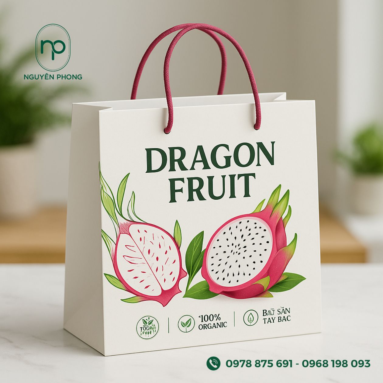 Mẫu túi giấy nông sản đựng thanh long 